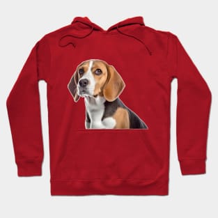 Perros Hoodie